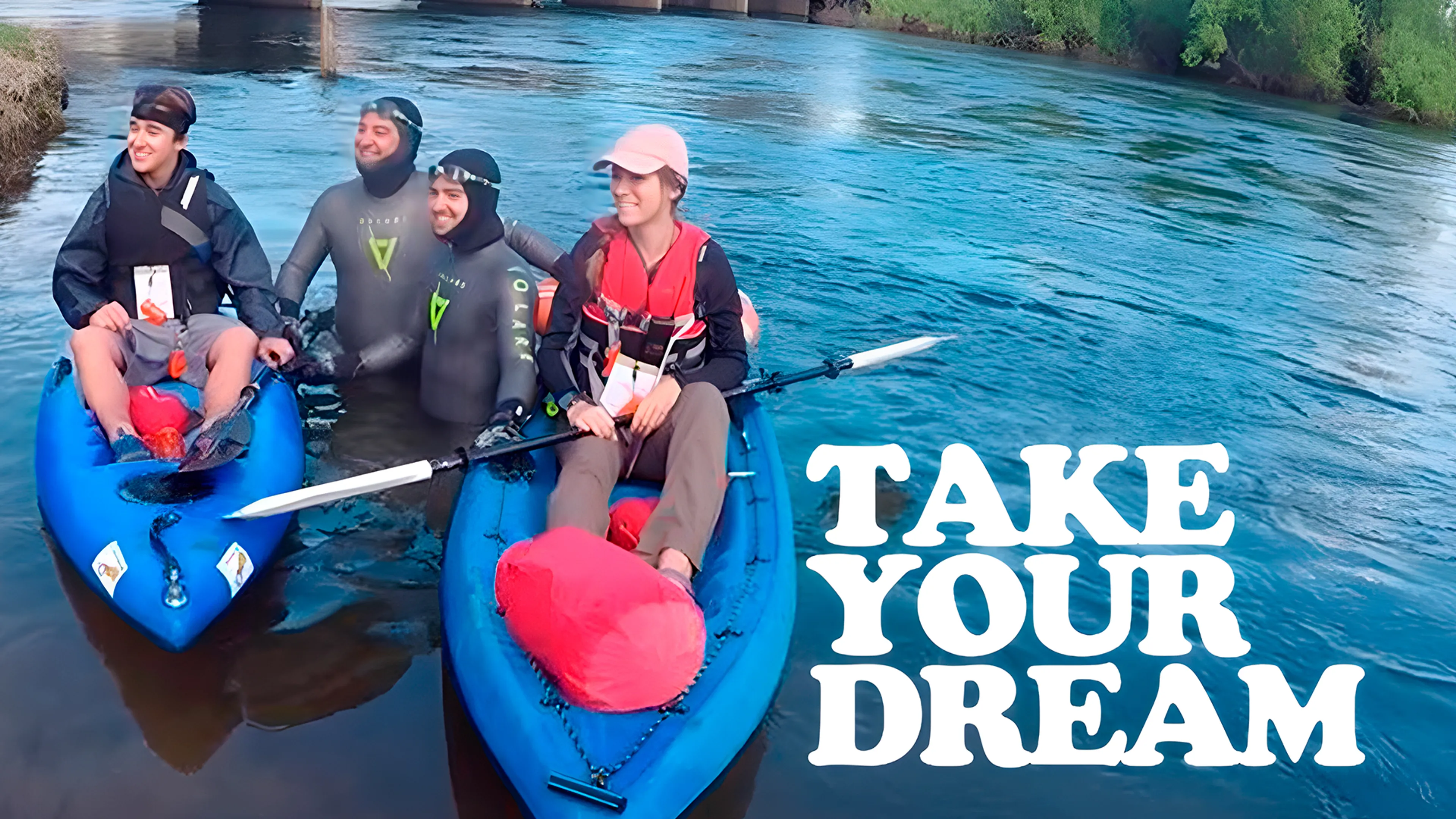 Take Your Dream poster